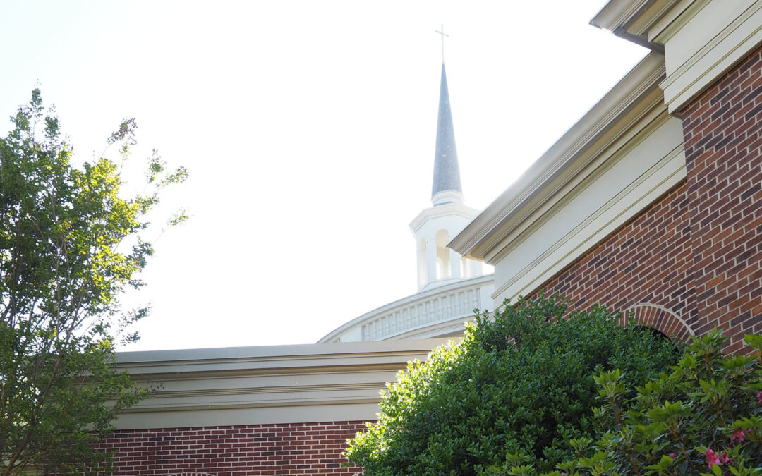 Three Stories of Stewardship