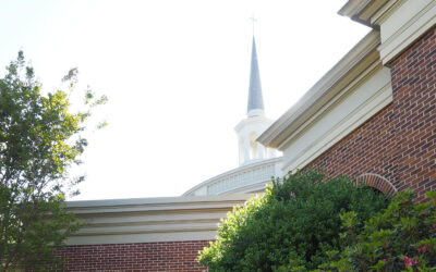 Three Stories of Stewardship